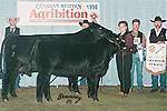 Prime Time's Sparkling Ruby 3F