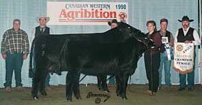Prime Time's Sparkling Ruby 3F