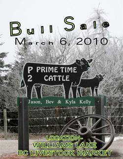 Prime Time Bull Sale