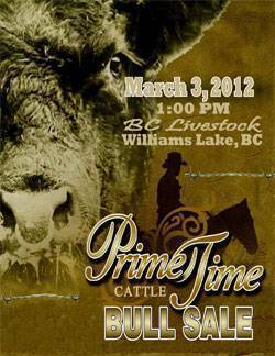 Prime Time Bull Sale