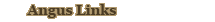 Angus Links