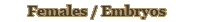 Females
