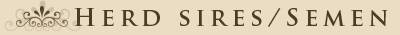Herd Sires & Semen